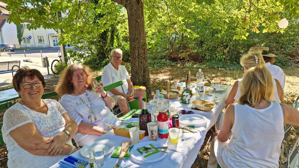 Diner en Blanc am 12.7.2026 whatsapp image 2026 07 27 at 13.08.33 (1)